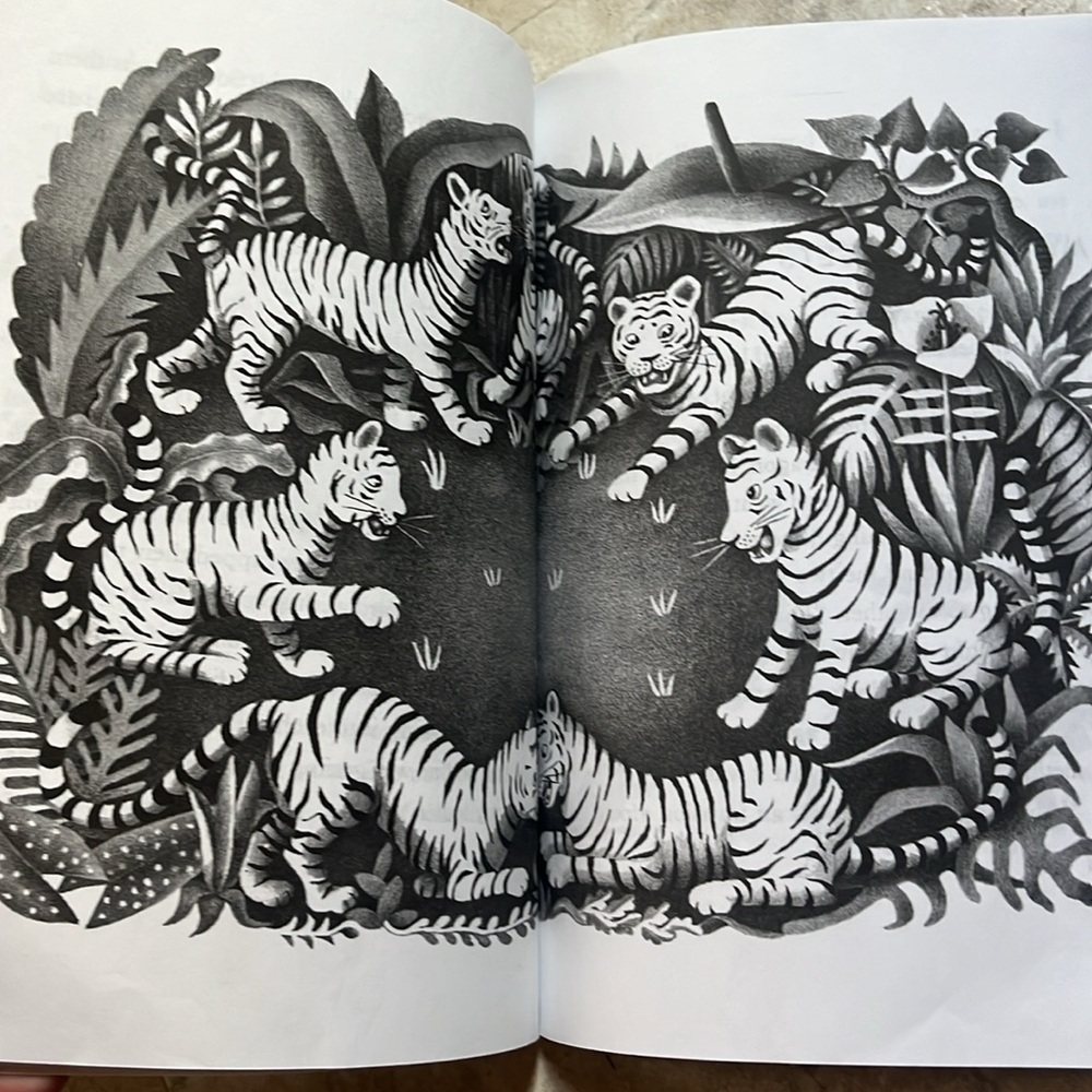 My Fathers Dragon. Written by Ruth Stiles Gannett. Paperback book. - Picture 6 of 9